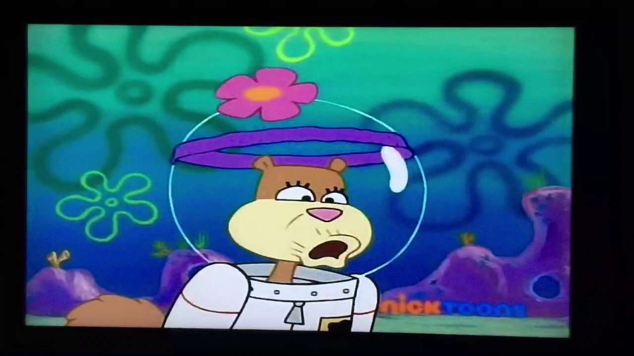 Sandy spongebob nackt