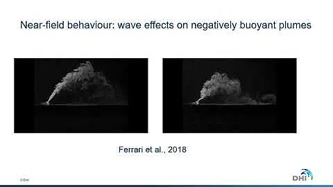 Session #22 - Alireza Valizadeh: REGULAR WAVE EFFECTS ON NEGATIVELY BUOYANT JETS