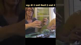 समुद्री सब्जी जिसकी कीमत लाखो मे है #top10 #facts #bird #animals #amazingfacts #intheworld #rahasya