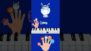 Brother finger| PIANO BEGINNER beatsnpieces piano pianotutorial