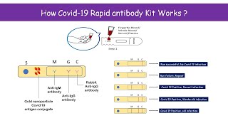 Antibody-based rapid detection kit for novel coronavirus.***support
us*** by donating to our paypal. this will motivate us creating more
such content you...