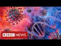 Major study suggests rise in coronavirus cases may be slowing in England - BBC News