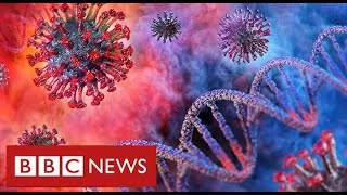 Major study suggests rise in coronavirus cases may be slowing in England - BBC News