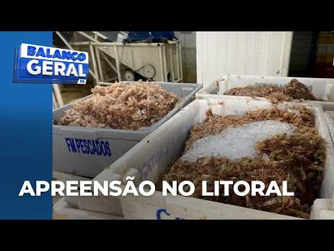 Police shut down illegal facility processing nearly a ton of shrimp