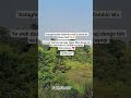 Astagfirullah 7x #faithfrist07 #islamic #tauba #islamicknowledge #shorts #shortsfeed #ytshorts
