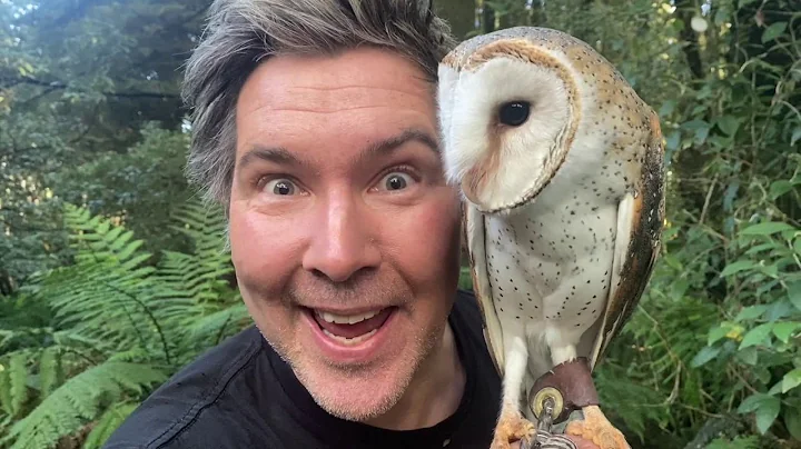 Manningham's Backyard Biodiversity: Barn Owl