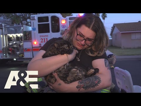 Video: Pet Scoop: Man neemt de kat aan die hij van de snelweg heeft gered, het ontbrekende puppy overleeft huisvuur