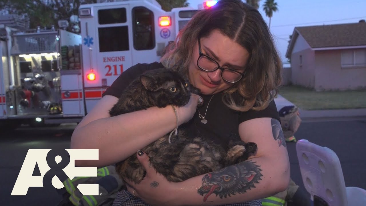 aetv com activate Live Rescue: Cat Rescued in Huge House Fire (Season 1) | A&E