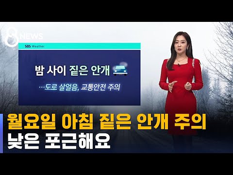 [날씨] 월요일 아침 짙은 안개 주의…낮은 포근해요 / SBS