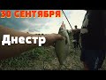 30 Сентября. Рыбачим на реке Днестр. Атака маленьких сомов )