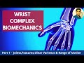 WRIST BIOMECHANICS #WRIST COMPLEX | ULNAR VARIANCE (PART 1)