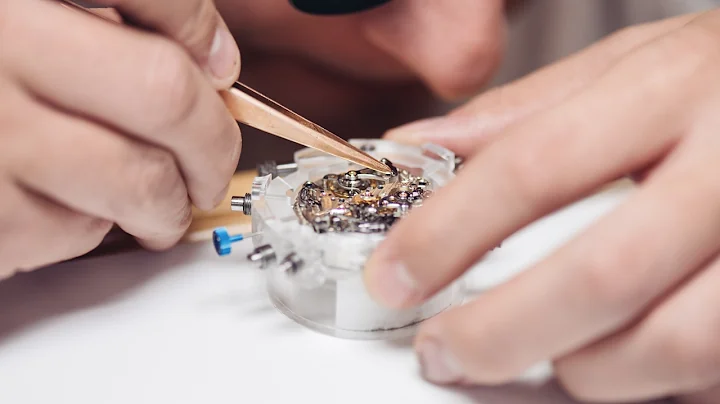 Gravity: A. Lange & Shne x Quentin Carnaille