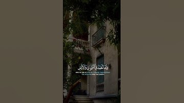 فسبحان الله حين تمسون وحين تصبحون 🤍🌿 #فسبحان_الله #احمدالنفيس #سورة_الروم #قرآن_كريم #تلاوة_خاشعة