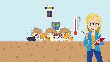 Cara Kerja Egrotek Penyiram Rumah Jamur Otomatis untuk Budidaya jamur Modern 4.0  IoT