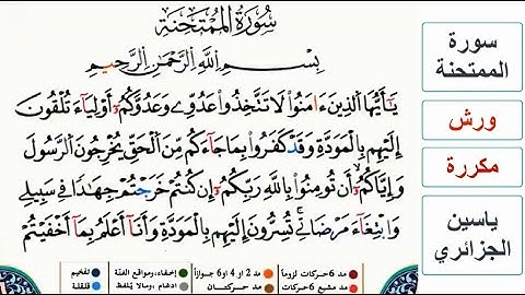 سورة الممتحنة - ياسين الجزائري - ورش - مكررة