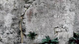 CIMG1732.AVI