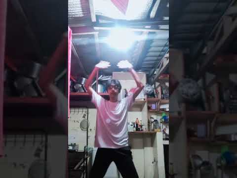 PE1_Viloria
