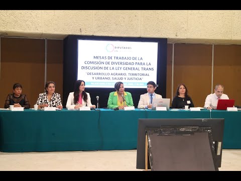 Segunda Mesa de Trabajo de la Comisión de Diversidad Para la Discusión de la Ley General Trans
