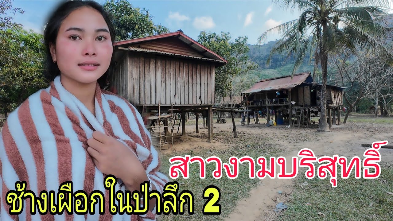 สาวงามบริสุทธิ์ช้างเผือกในป่าลึก 2