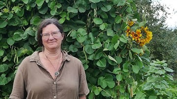 Meet the team - Alice