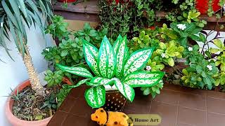 DIY Bukarm paper pasting craft || Art and craft || Bukarm se bnaye plant ? || Home Art