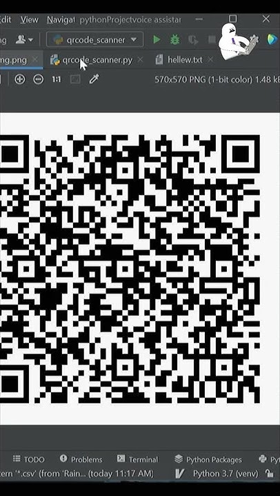 Python QR code Scanner in 3 lines of code #shorts #python - YouTube