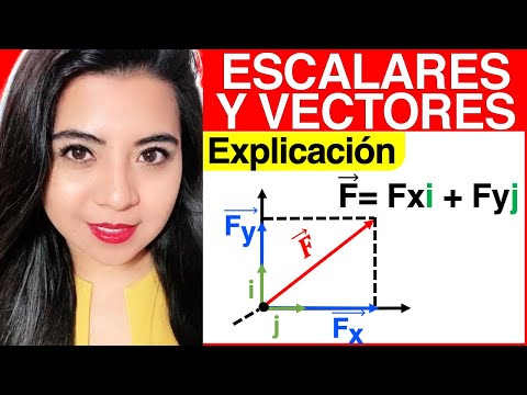 ¿CUÁLES SON LOS COMPONENTES ESCALARES y LAS COMPONENTES VECTORIALES?