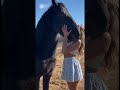 This male horse is exceptionally intelligent #horse #rodeo #horsegirl
