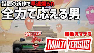 【ほぼスマブラ/マルチバーサス】話題の新作で早速煽られたので全力で応えた男(MULTI VERSUS実況)