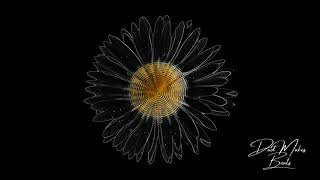Dadmakesbeats A Beautiful Daisy Chill Trap Type Beat