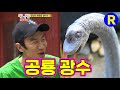 [런닝맨] 공룡 광수...포인트는 딱 튀어나온 이마! | RunningMan Ep. 48