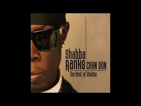 Twice My Age (feat. Krystal)  Shabba Ranks  #slowed