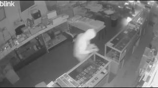 Suspected serial burglar shot during heist at Cardboard Collectors in Albuquerque