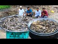 Special Fish Curry Recipe || Eels Fish Recipe || Bommidala Fish gravy || Nawabs Kitchen