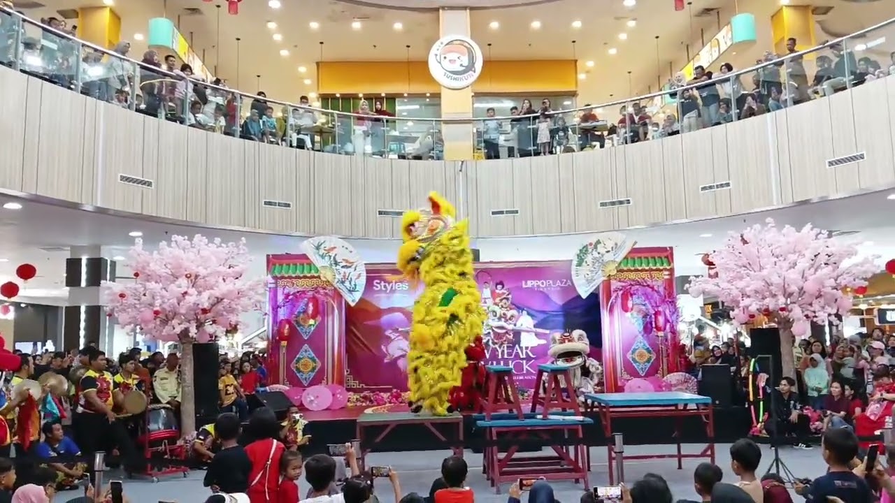 Buru - buru pengen liat BARONGSAI 