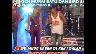 Eny Sagita feat. Arief Citenx - Ra Iso Dadi Siji | Dangdut ( Music Video)