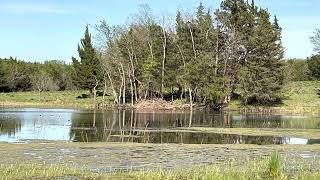 15lbs tannerite vs beaver dam