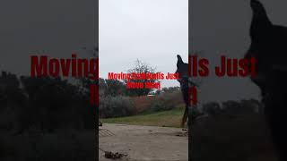 #funny #viral #trending #livestream #sports #shorts #moving #kettlebell #workout #exercise