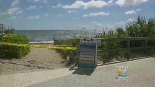 Famous Red Tide Now Impacting South Florida Beaches Wealth