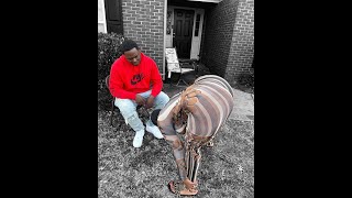 Foxy Show Up By Her Self