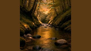 Hidden Source ‐Reflections‐ (Track 5)