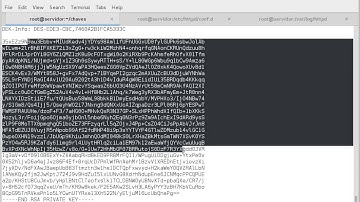 Apache and Nginx SSL Configuration on Centos with basic user authentication