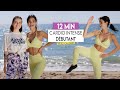 12 min cardio intense dbutant avec romy  efficace rapide  sans matriel  sissy mua