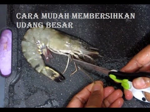 Video: 3 Cara Makan Sihat dengan Belanjawan