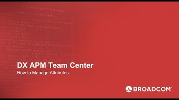 DX APM Team Center: How to Manage Attributes