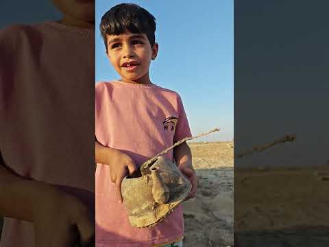 قوري يطلع المارد