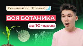 картинка: ВСЯ БОТАНИКА ЗА 10 ЧАСОВ | ЕГЭ-2026 ПО БИОЛОГИИ | NeoFamily