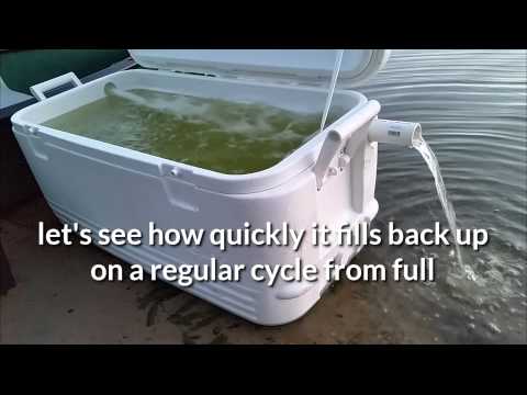 Flow through live well 25 gallon cooler - YouTube