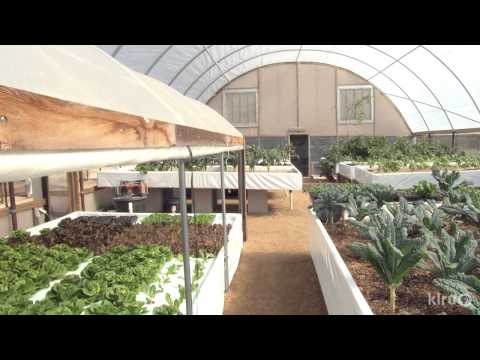 Amazing aquaponics! Health Ranger tours Sand Creek Farm ...