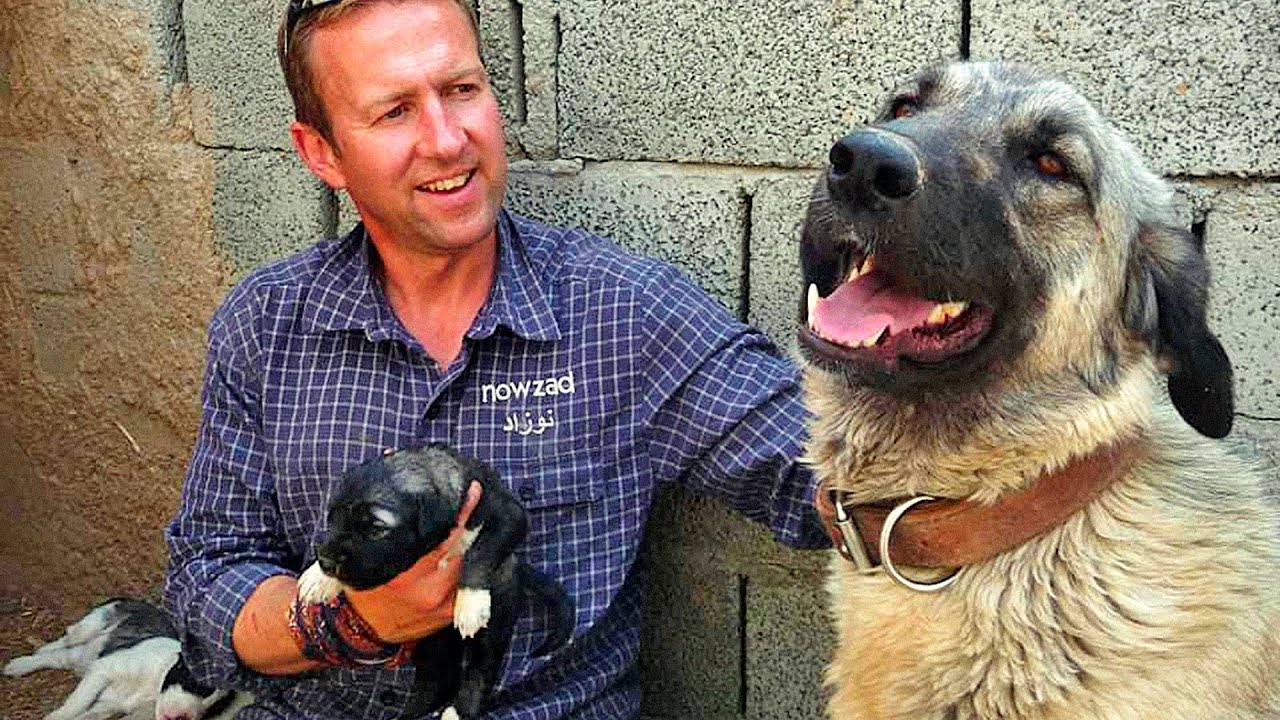 Pen farthing animal rescue mission near completion